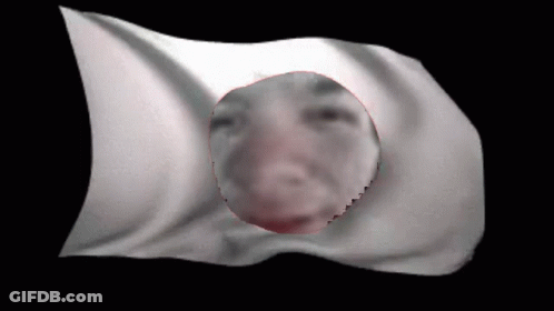 A Close Up Of A Flag With A Face In The Middle GIF