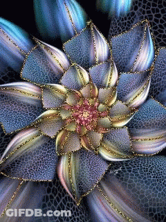 A Close Up Of A Flower With A Purple Center GIF