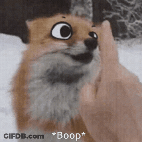 A Close Up Of A Fox Being Petted By A Person With The Word Boop Written Below It GIF
