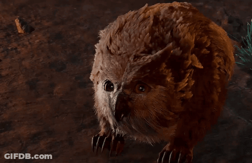 Close Up Of Furry Animal Face And Paws GIF