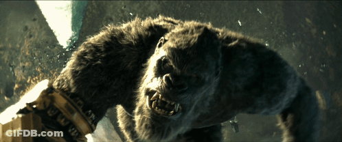 A Close Up Of A Furry Animal With A Glove That Says ' Nfl ' On It GIF