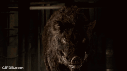 A Close Up Of A Furry Animal With A Large Mouth GIF