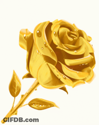 A Close Up Of A Gold Rose With Water Drops On It GIF