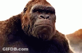 A Close Up Of A Gorilla Looking At The Camera GIF