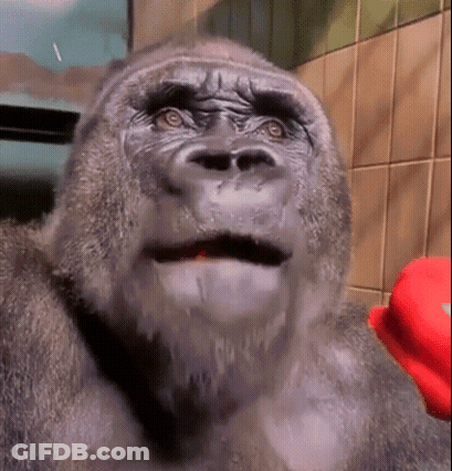 A Close Up Of A Gorilla 'S Face With A Red Object In Front Of It GIF