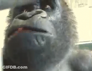 A Close Up Of A Gorilla 'S Face With A Serious Look On His Face . GIF