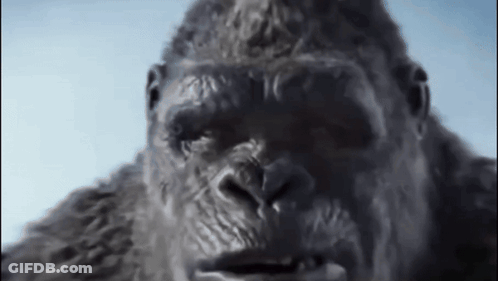 A Close Up Of A Gorilla 'S Face With Its Mouth Open GIF