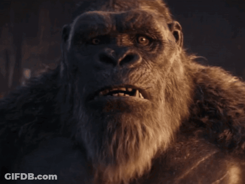 A Close Up Of A Gorilla 'S Face With Its Mouth Wide Open GIF