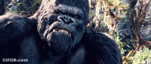 A Close Up Of A Gorilla With A Very Angry Look On Its Face GIF