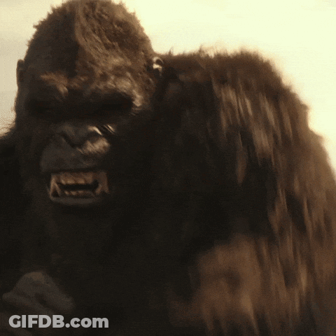 A Close Up Of A Gorilla With A Very Angry Look On Its Face GIF