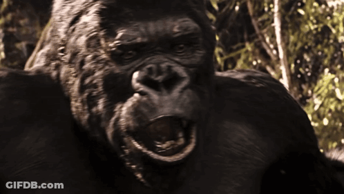A Close Up Of A Gorilla With Its Mouth Open And Trees In The Background GIF