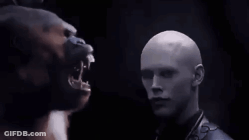A Close Up Of A Gorilla With Its Mouth Open In The Dark . GIF