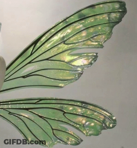 A Close Up Of A Green Fairy Wing On A White Surface GIF