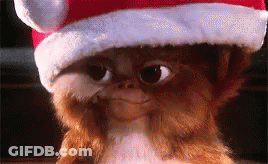 A Close Up Of A Gremlins Doll Wearing A Santa Hat . GIF