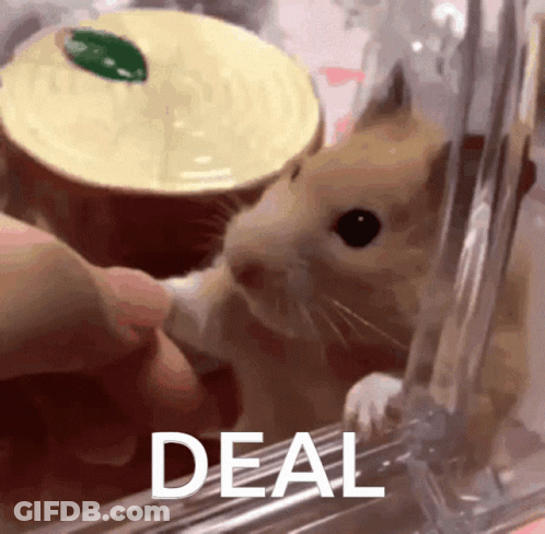 A Close Up Of A Hamster In A Cage With The Word Deal Behind It GIF