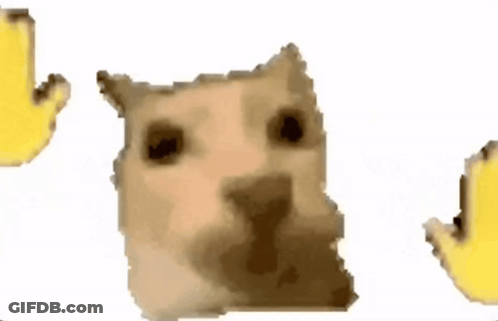 A Close Up Of A Hamster 'S Face With Two Bananas Behind It . GIF