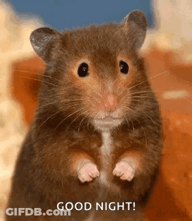 A Close Up Of A Hamster Standing On Its Hind Legs And Saying Good Night . GIF