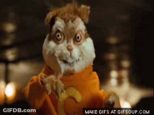 A Close Up Of A Hamster With A Make Gifs At Gifsoup.com Logo GIF