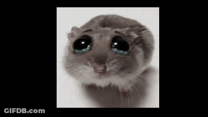 A Close Up Of A Hamster With Tears Running Down Its Face GIF