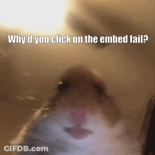 A Close Up Of A Hamster With The Caption " Why D You Click On The Embed Fail " GIF