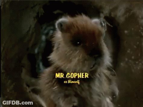 A Close Up Of A Hamster With The Name Mr. Gopher As Himself GIF