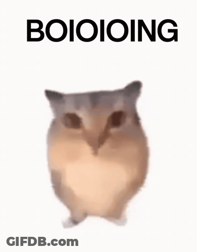 A Close Up Of A Hamster With The Words Boioioioing Above It . GIF