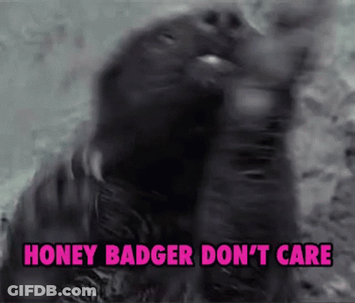 A Close Up Of A Honey Badger With The Words Honey Badger Don 'T Care Written Below It GIF