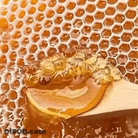 A Close Up Of A Honeycomb With A Spoon In It And A Bee On It . GIF