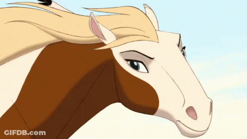 A Close Up Of A Horse 'S Face With A Blue Sky Behind It GIF