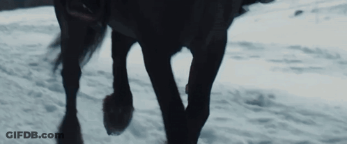 A Close Up Of A Horse 'S Legs Standing In The Snow GIF
