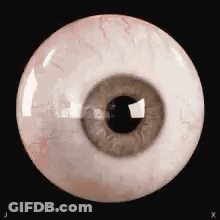 A Close Up Of A Human Eye On A Black Background GIF