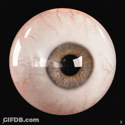 A Close Up Of A Human Eye With The Letters J And X On The Bottom GIF