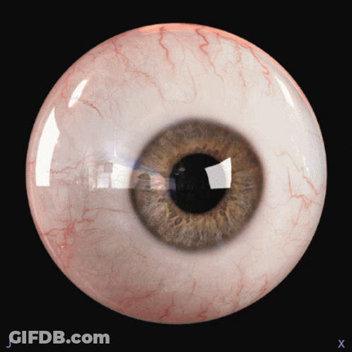 A Close Up Of A Human Eye With The Letters J And X On The Bottom GIF