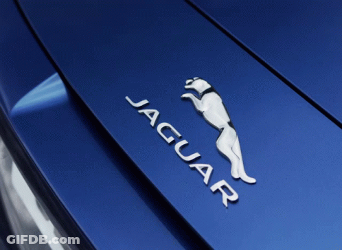 A Close Up Of A Jaguar Emblem On A Car GIF