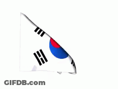 A Close Up Of A Korean Flag Waving In The Wind GIF