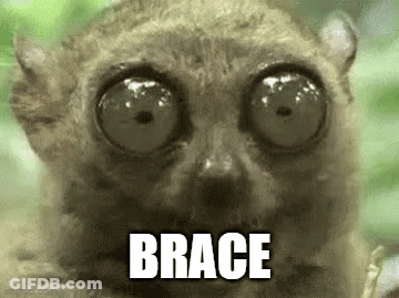 A Close Up Of A Lemur With Big Eyes And The Word Brace Written On Its Face . GIF