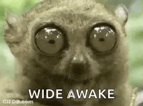 A Close Up Of A Lemur With Big Eyes And The Words `` Wide Awake '' Written Next To It . GIF