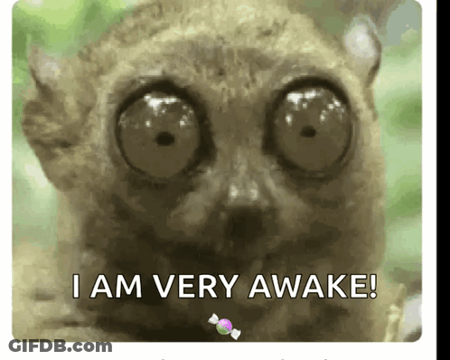 A Close Up Of A Lemur With The Words I Am Very Awake GIF