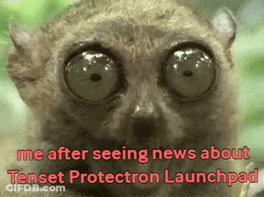 A Close Up Of A Lemur With The Words " Me After Seeing News About Tense Protection Launchpad " GIF