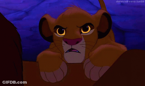 A Close Up Of A Lion Cub With The Words Disneyydreams Tumblr Written Below It GIF