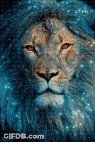 A Close Up Of A Lion 'S Face With A Blue Background And The Number 77 At The Bottom GIF