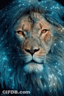 A Close Up Of A Lion 'S Face With A Blue Background GIF