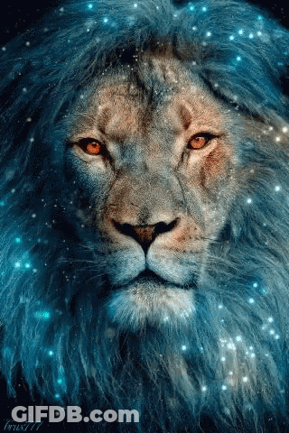 A Close Up Of A Lion 'S Face With A Blue Mane And Orange Eyes GIF