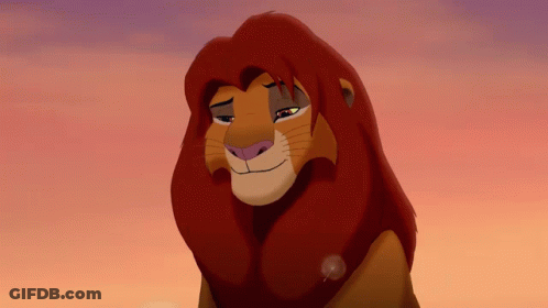 A Close Up Of A Lion 'S Face With A Pink Sky In The Background GIF