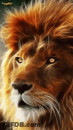 A Close Up Of A Lion 'S Face With The Number 63 On It GIF