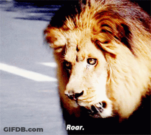 A Close Up Of A Lion 'S Face With The Word Roar Written Below It GIF