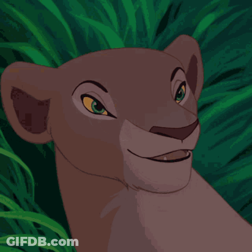 A Close Up Of A Lioness ' Face With A Green Background GIF