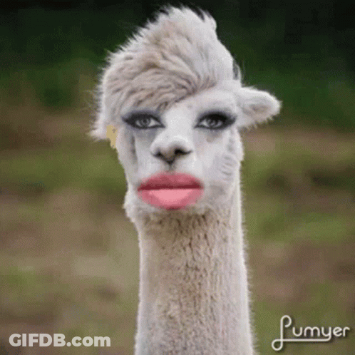 A Close Up Of A Llama With Makeup On Its Face And Plumyer Written Below It GIF