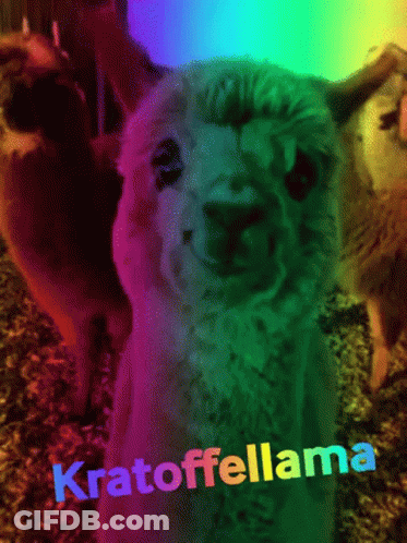 A Close Up Of A Llama With The Word Kratoffellama Written On It GIF