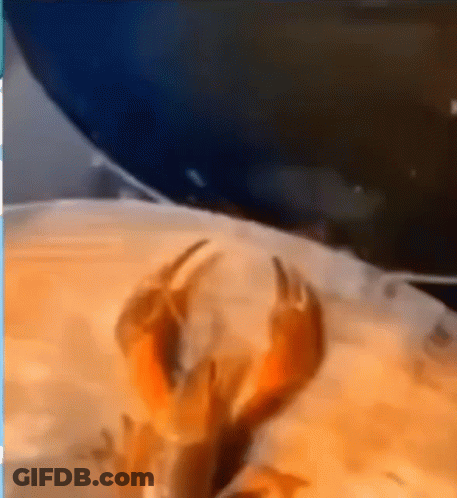 A Close Up Of A Lobster 'S Claws On A Blurred Background GIF